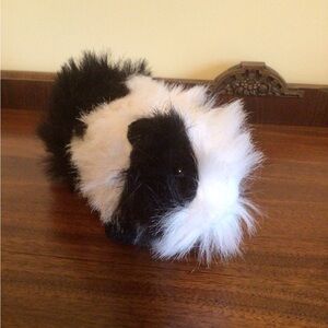 Lang’s Black and White Guinea Pig